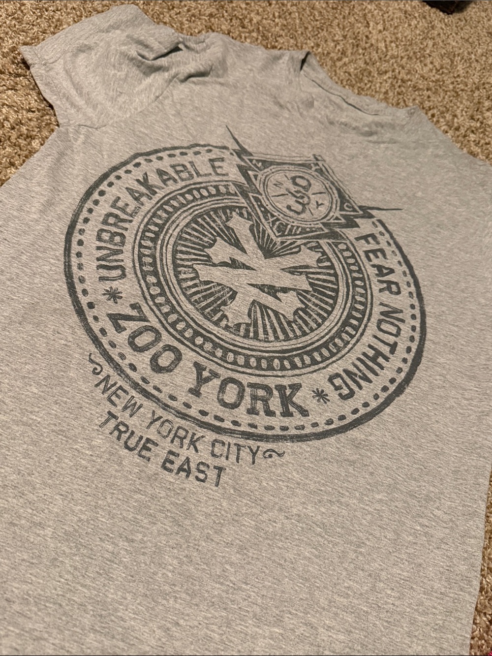 Zoo York Fear Nothing Unbreakable tee (S) - EUC